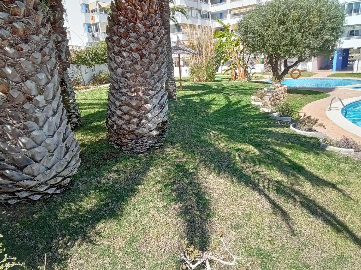 Apartamento La Nina, La Playa Paraiso A 100 Mts. Ла-Віла-Джойоза Екстер'єр фото